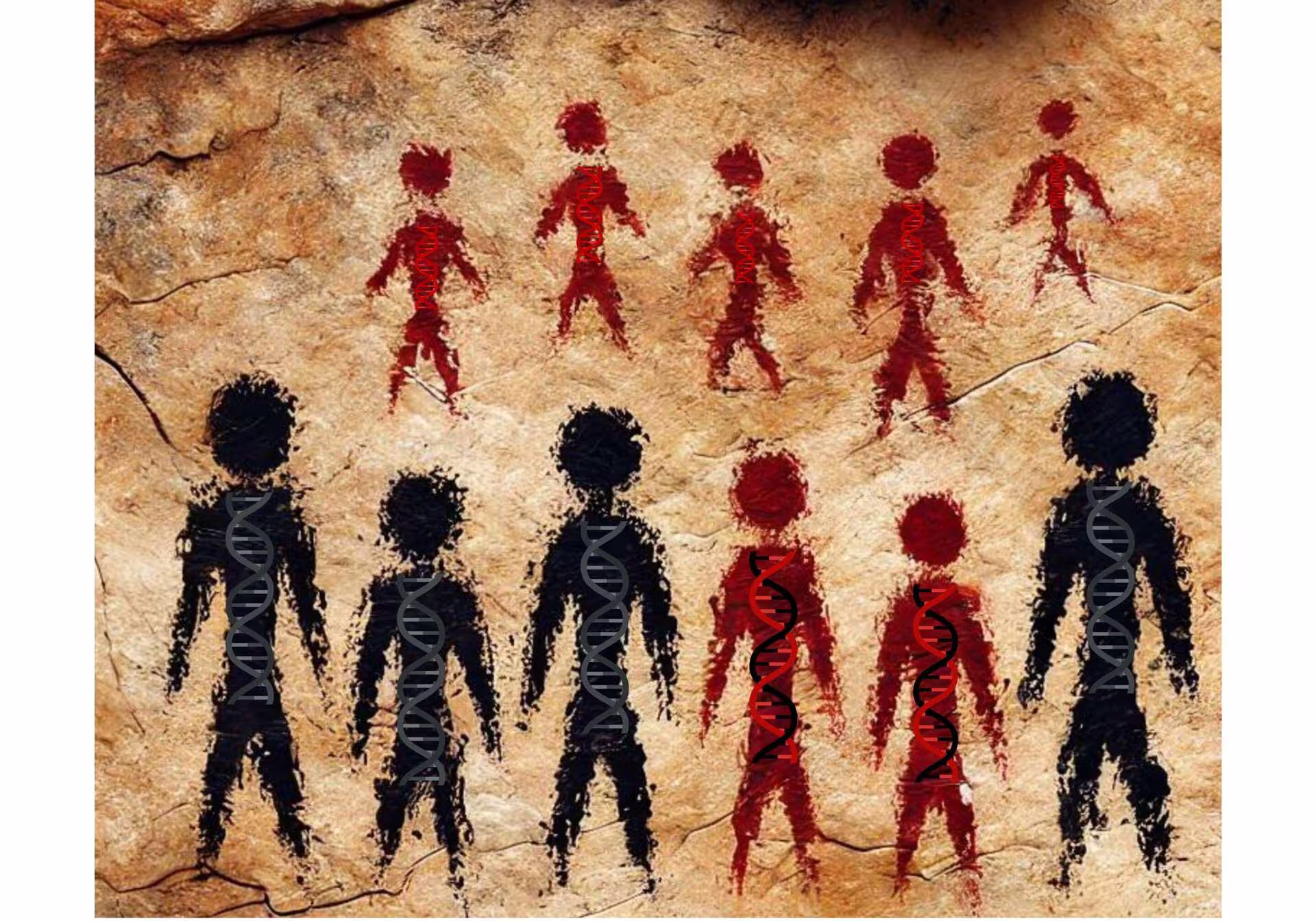 Découverte en France d'un immense mur sous-marin datant de 5000 ans avant