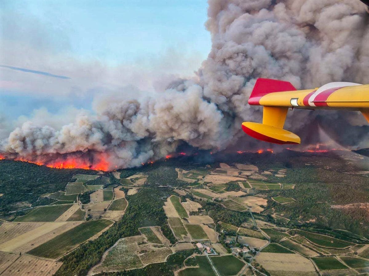 Des vignobles ravagés par l'incendie dans l'Aude