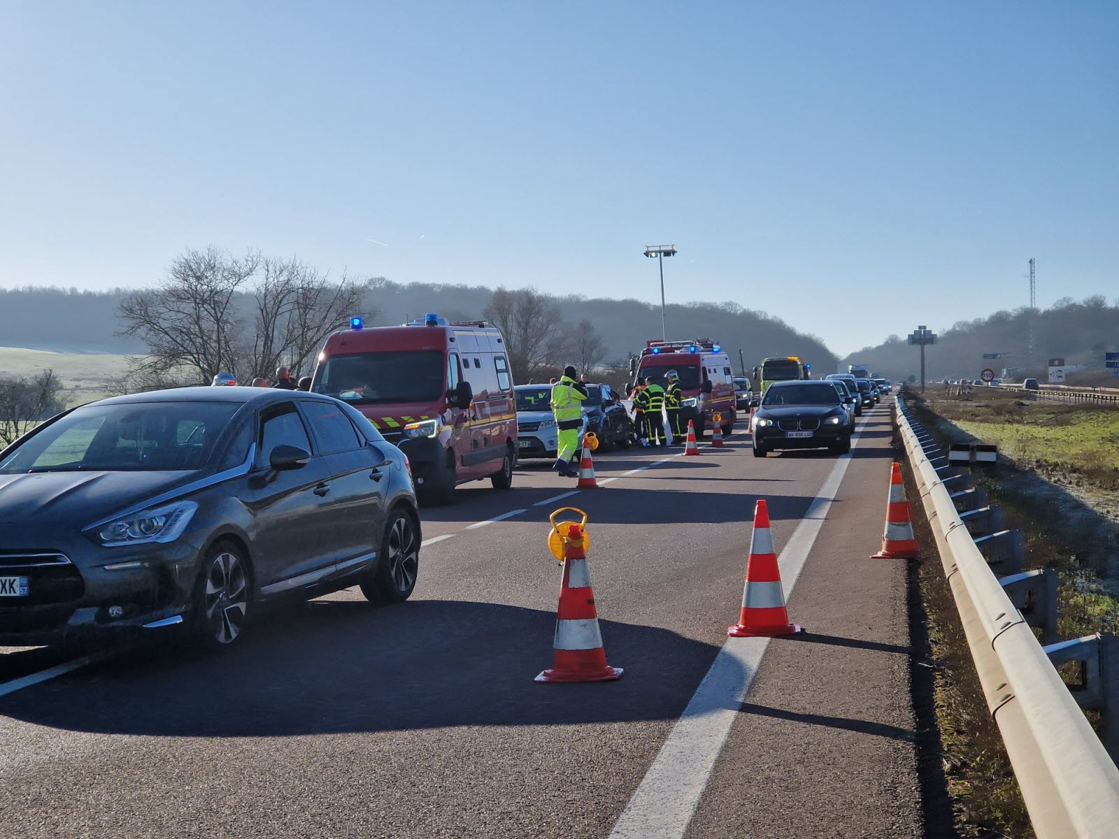 Une Miss tuée après un crash entre une Porsche et un élan