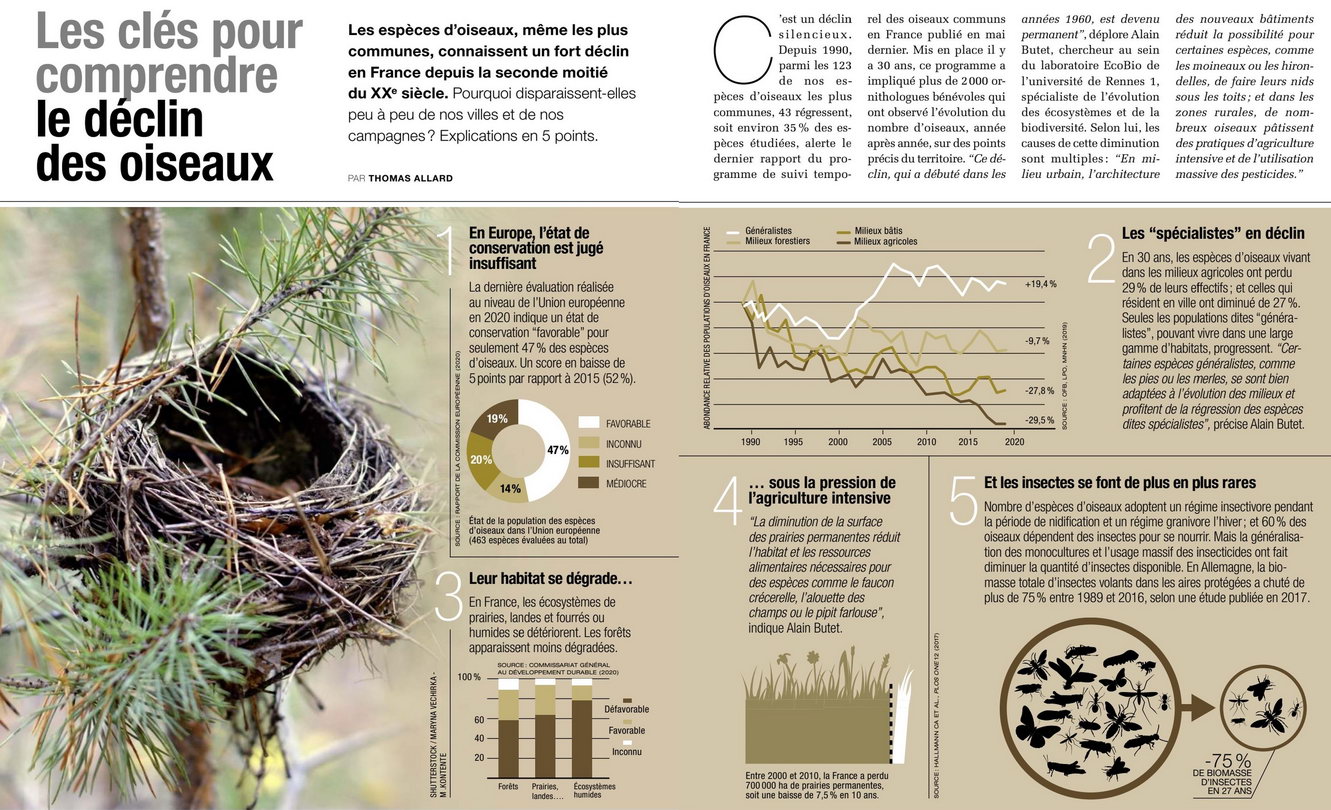 Les oiseaux tropicaux menacés par le réchauffement climatique
