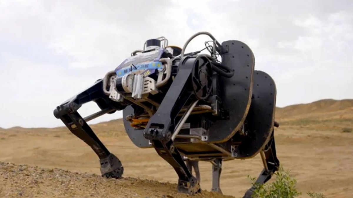 Chine lance des loups robots armés