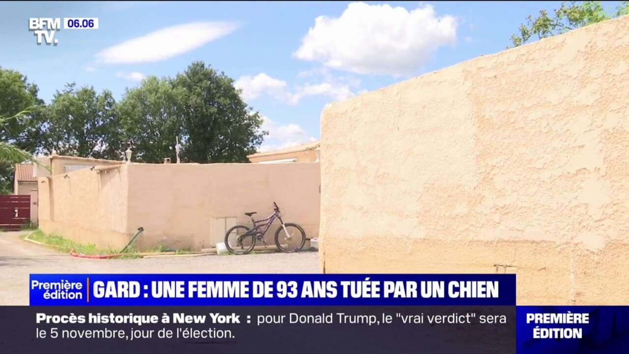 Une dame âgée meurt dévorée par un chien en France