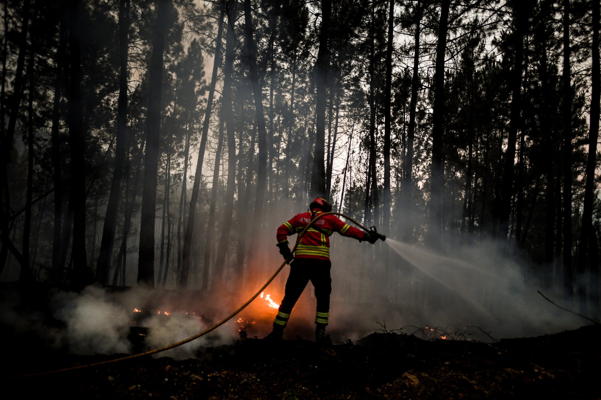 Le Portugal prolonge ses mesures anti-incendies face à la vague de chaleur
