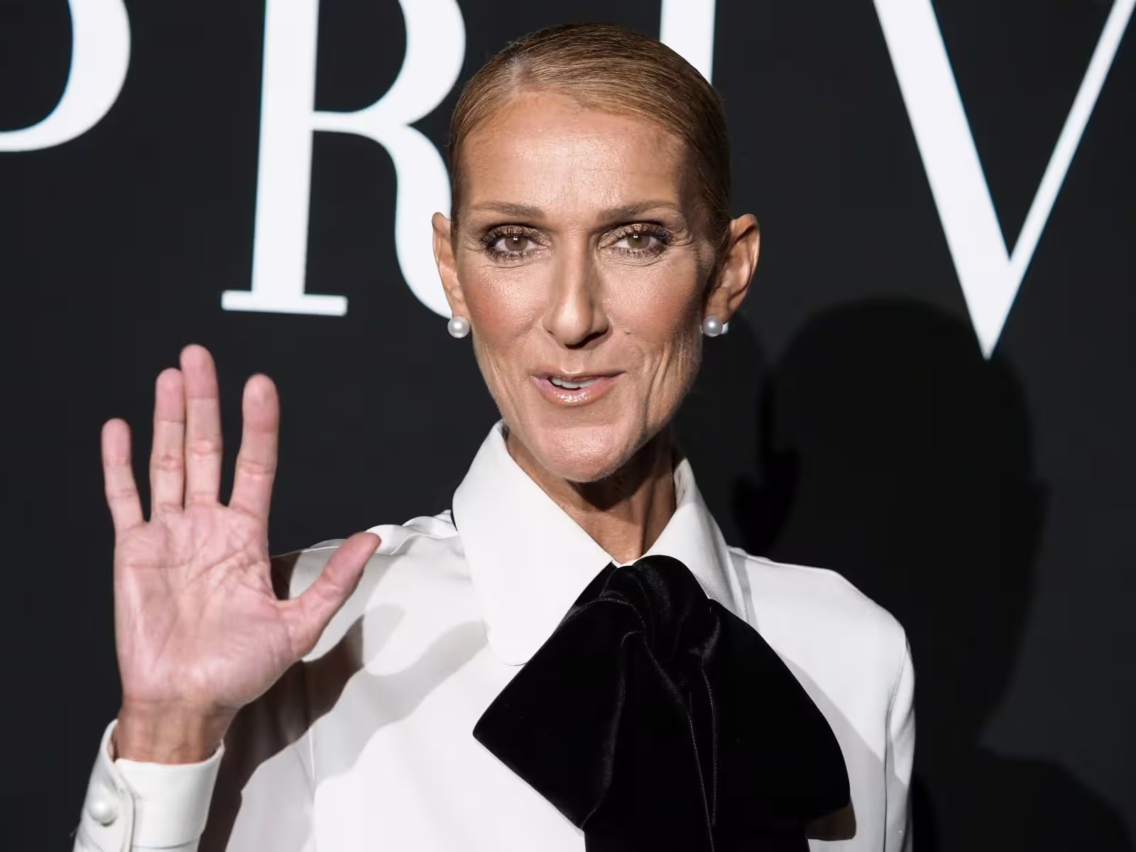 «Céline Dion n'était pas à Bâle»