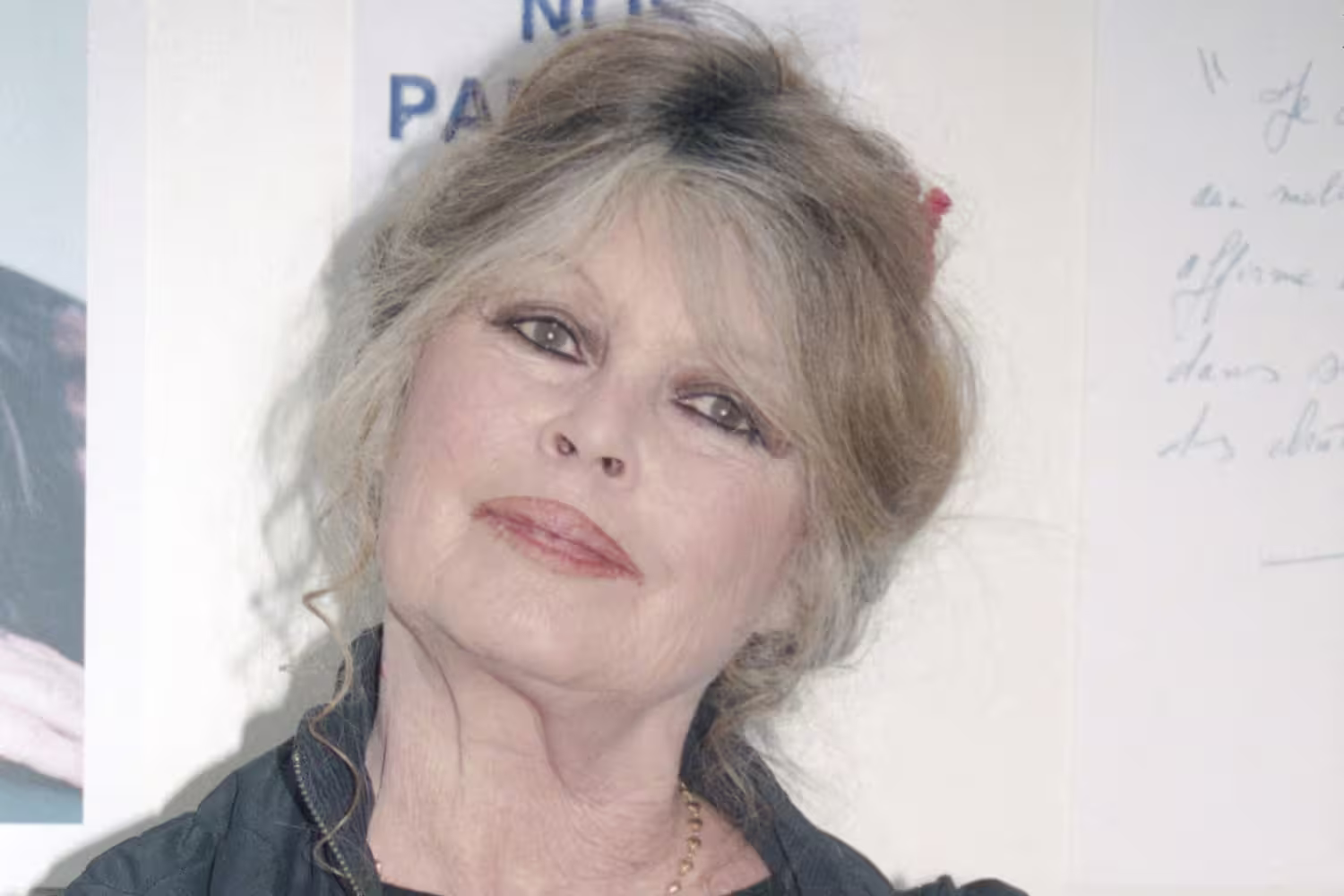 La droite française veut un hommage national à Brigitte Bardot